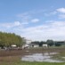 きれいな青空のもと、グランドは水田